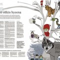 Punahilkka. Kuvitus Aamulehteen